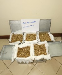 500KGs Raw Gold Nuggets Ready For Shipping Worldwide