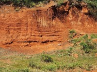 Gold-Rich Mining Site for Lease – Kakamega, Kenya