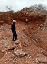 Verified Gold Mining Land – Kakamega | Lease Opportunity