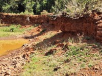 Verified Gold Mining Land – Kakamega | Lease Opportunity