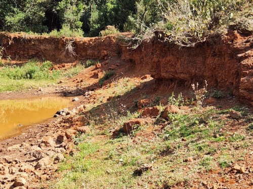 Verified Gold Mining Land – Kakamega | Lease Opportunity