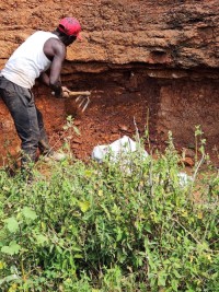 Verified Gold Mining Land – Kakamega | Lease Opportunity