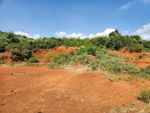 Verified Gold Mining Land – Kakamega | Lease Opportunity