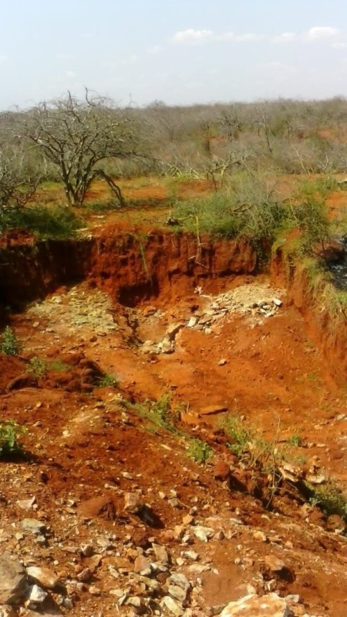 Gold-Rich Mining Site for Lease – Kakamega, Kenya